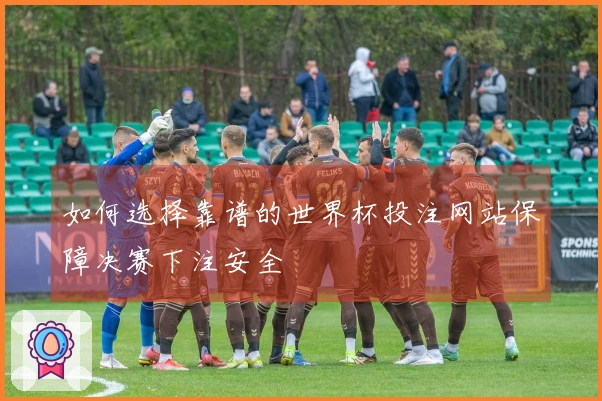 如何选择靠谱的世界杯投注网站保障决赛下注安全